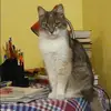 Отзыв от Майя Шапошникова
